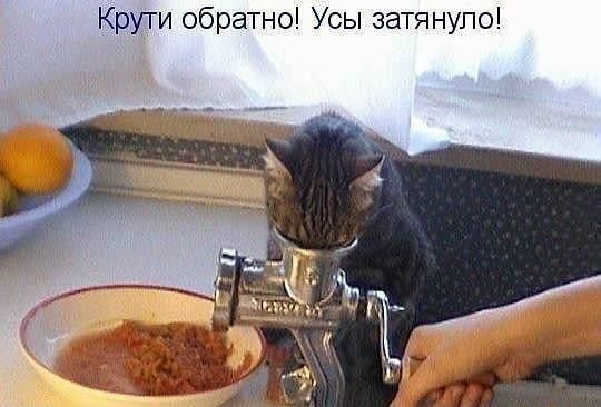 Крути обратно Усы затянуло