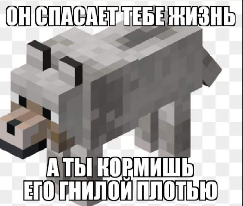 Пведниьежичь ч