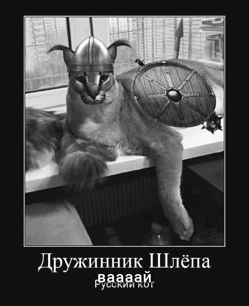 ы ч _ Дружинник Шлёпа ЁЁЪЁЁЁЁЧ