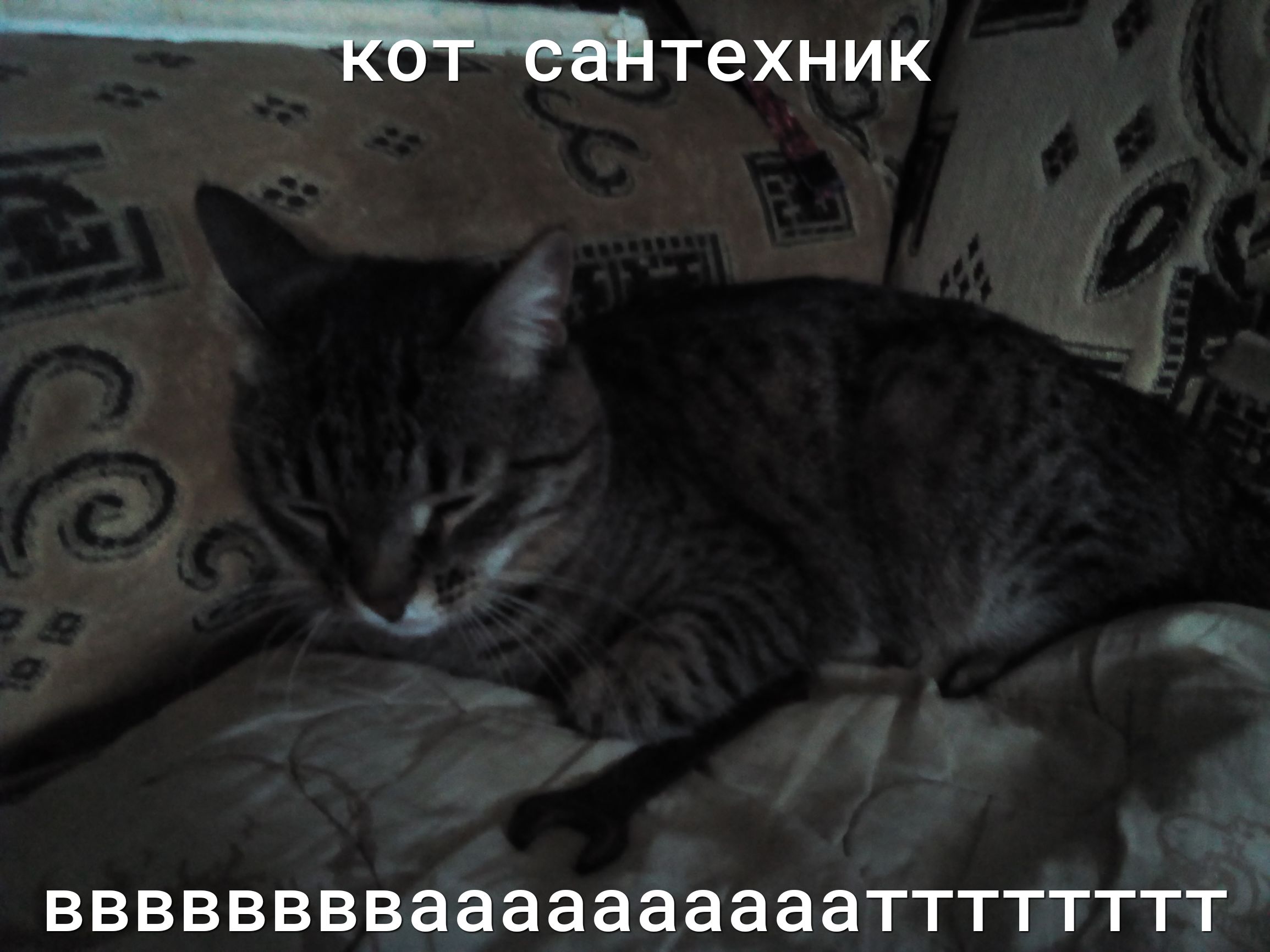 На сайтехник вввввввваааааааааатттттттгт