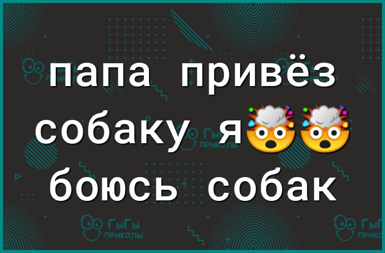 папа привёз собаку ЯЁЁЁЁ боюсь собак