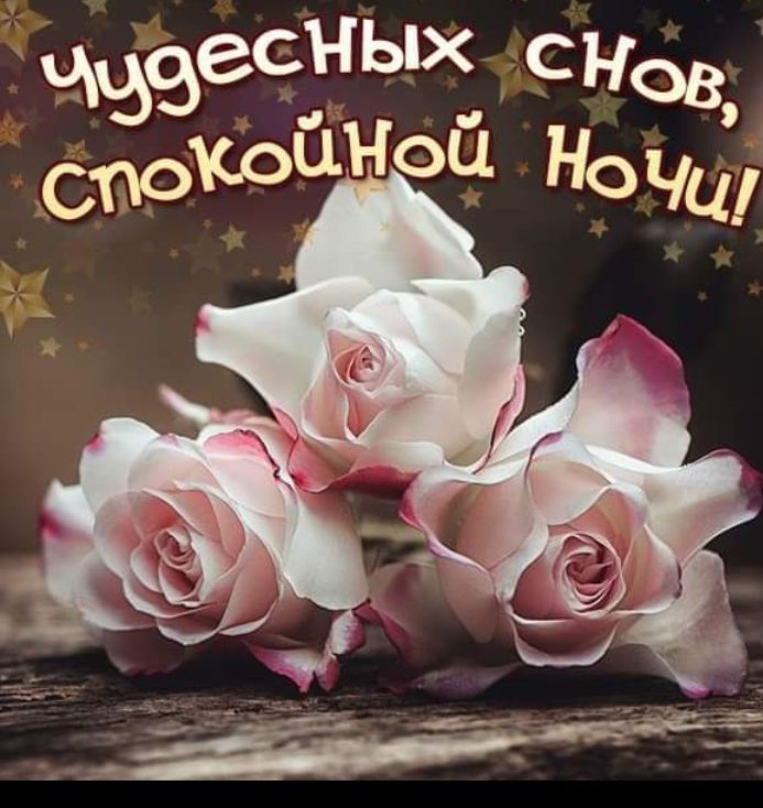 зесых 'снов; слекеа шой ночц