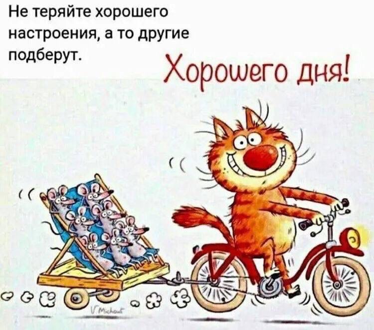 Не теряйте хорошего настроения а то другие Хорошего дня подберут