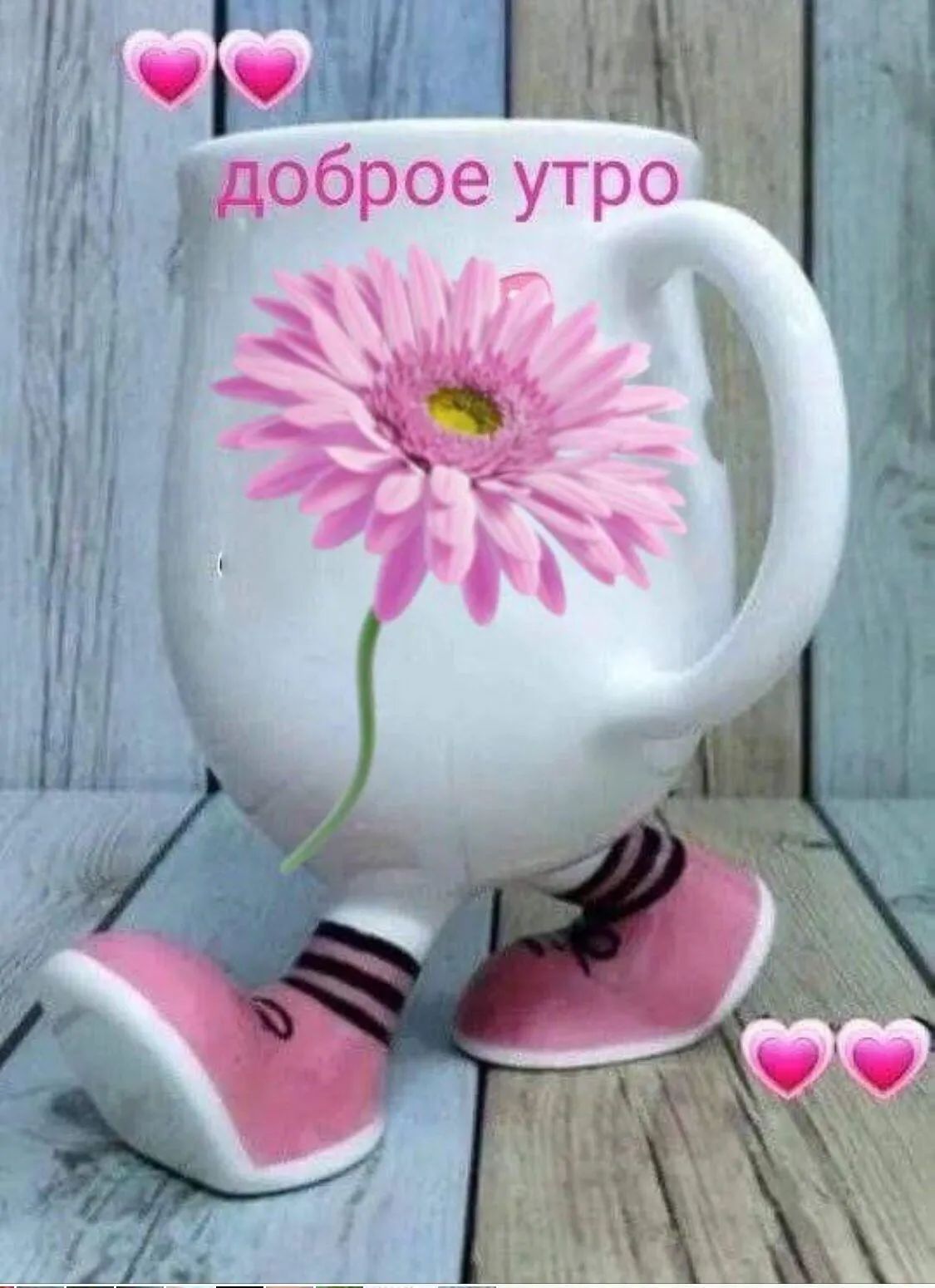 з:ое.ут щ  ;г' ро ' с 8 .'  1  а