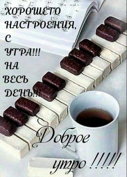 жорошсто _ плата 31 с ттт