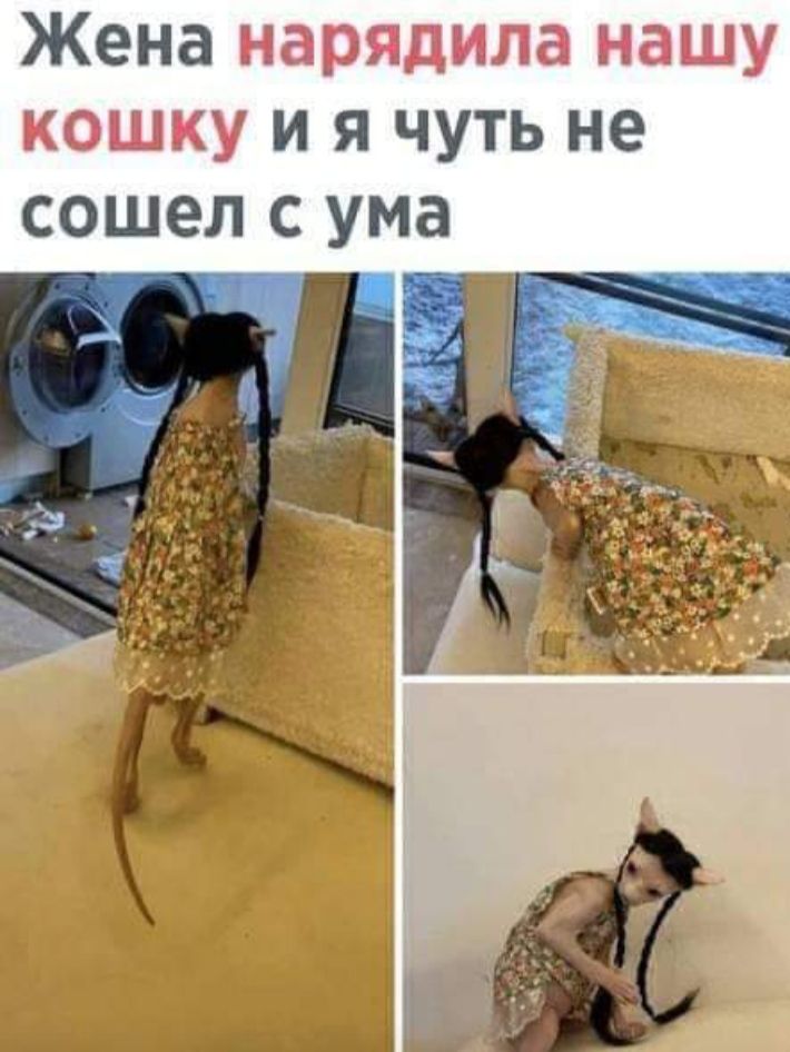 Жена И Я ЧУТЬ не СОШЭЛ С ума