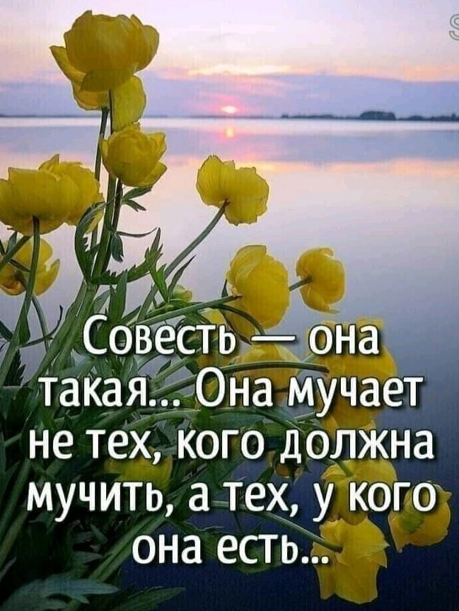 НЕ ТЕХ КОГО ДОЛЖНЗ МУЧИТЬ а ТЕХ у КОРО она естше _