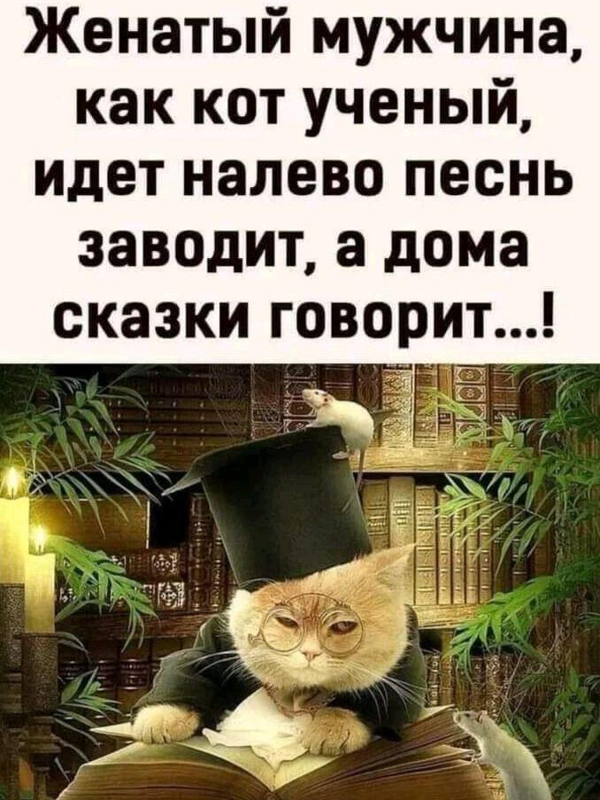 Женатый мужчина как кот ученый идет налево песнь заводит а дома сказки говорит