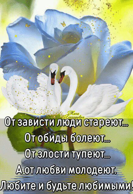 т ёёвисти л_ От обидьп Отізлости тупеют Авоглюбви молодерюдтд Тббйте и будьте любимь