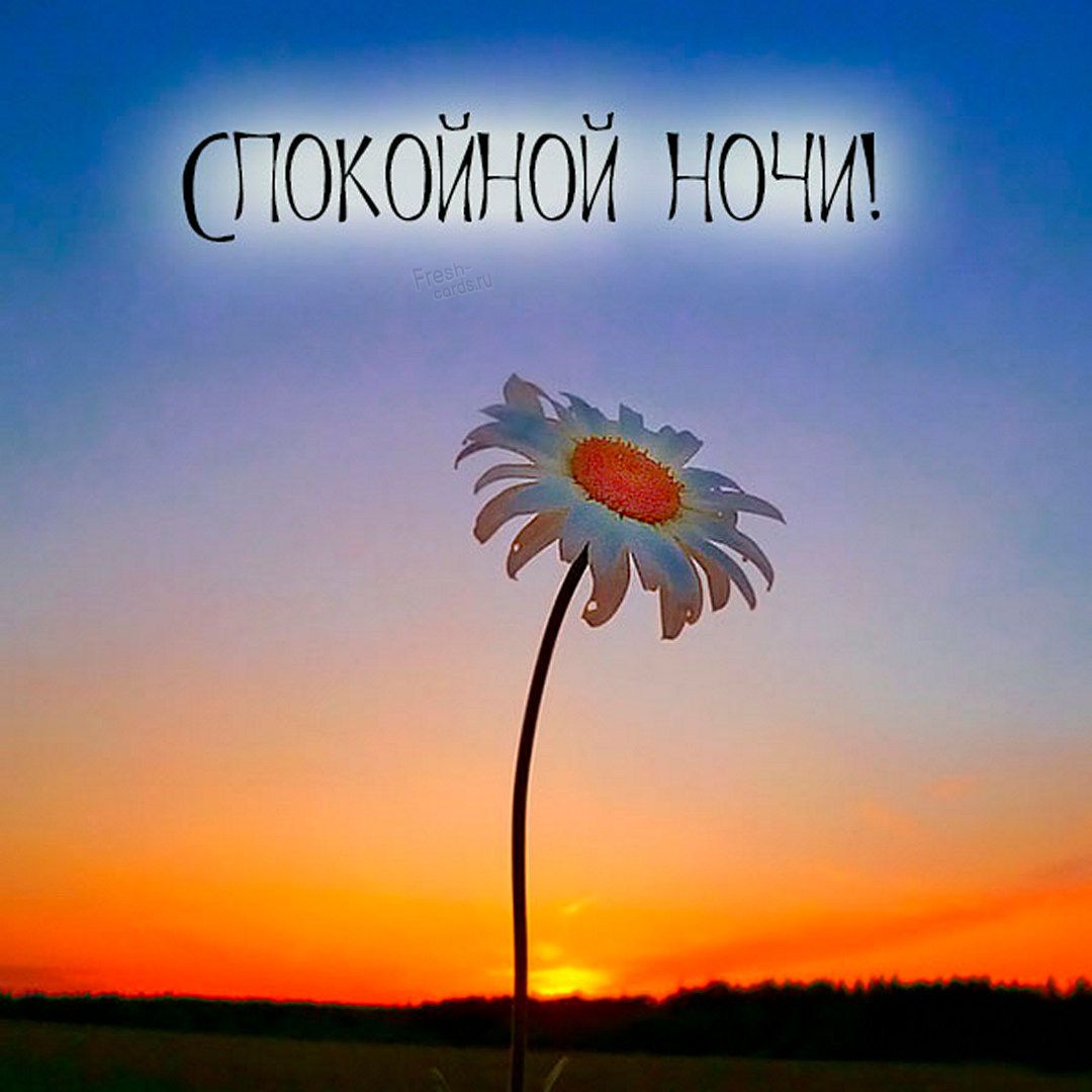 спокойной ночиід