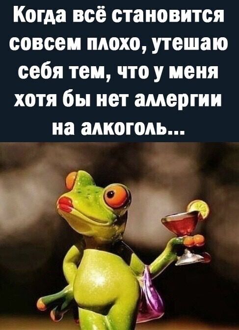 Когда всё становится совсем плохо утешаю себя тем что у меня хотя бы нет амергии на алкоголь і