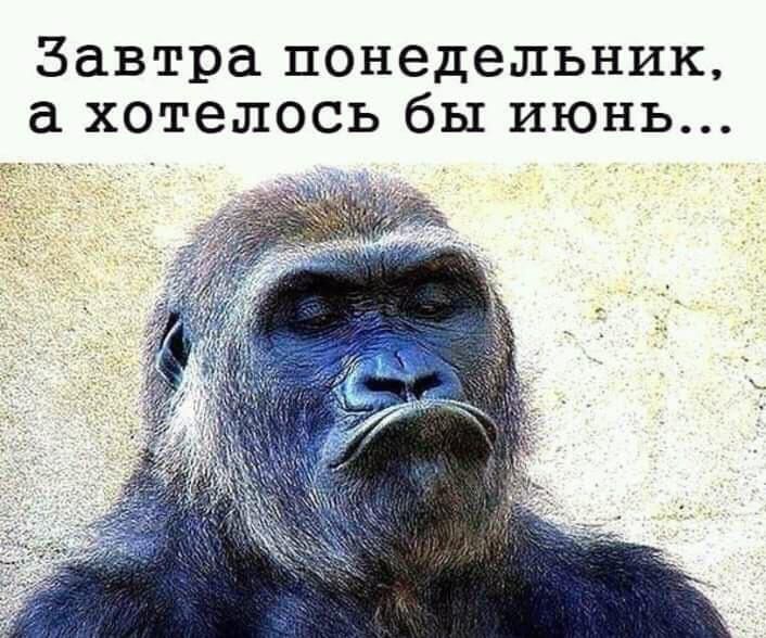 Завтра понедельник хотелось бы июнь