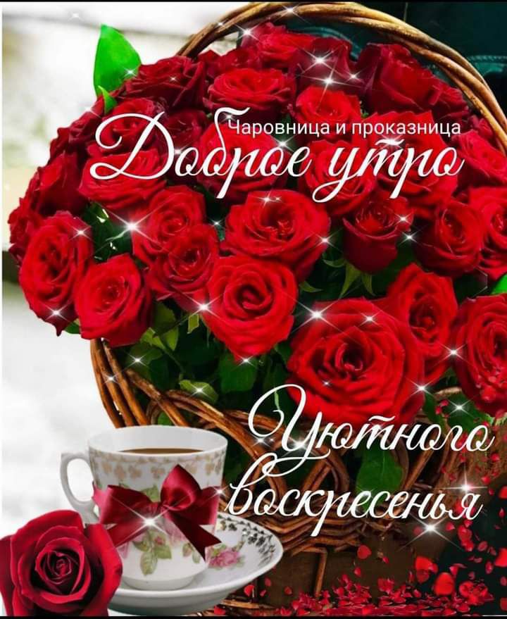 аровница И проказница