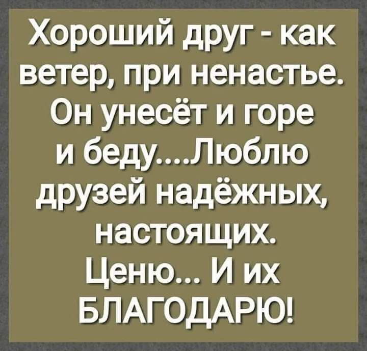 Хороший друг как ветер при ненастье Он унесёт и горе и бедуЛюблю друзей надёжных настоящих Ценю И их БЛАГОДАРЮ