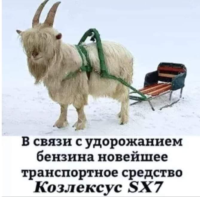 В связи с удорожанием бензина новейшее транспортное средство Козлексус БХ 7