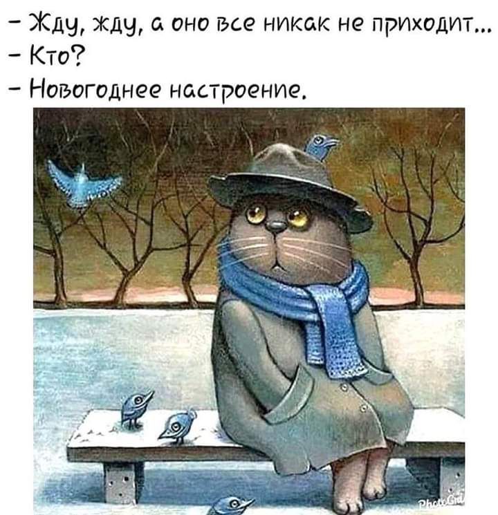 Жду Жду оно все никак не приходит Кто Новогоднее настроение