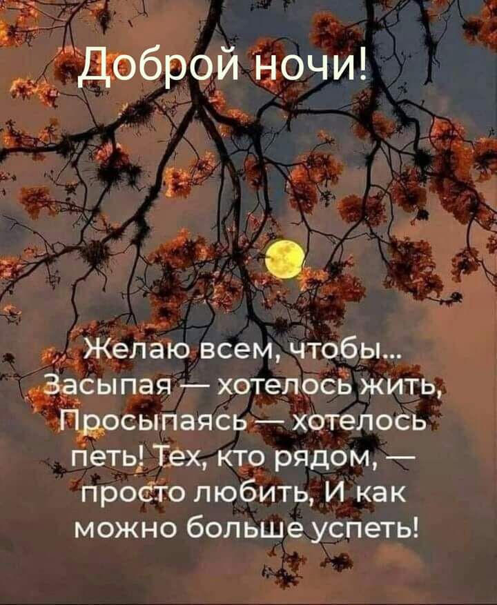 Доброй ночи Желаю всем чтобы Засыпая хотелось жить Просыпаясь хотелось Петь Тех кто рядом просто любить И как можно больше успеть