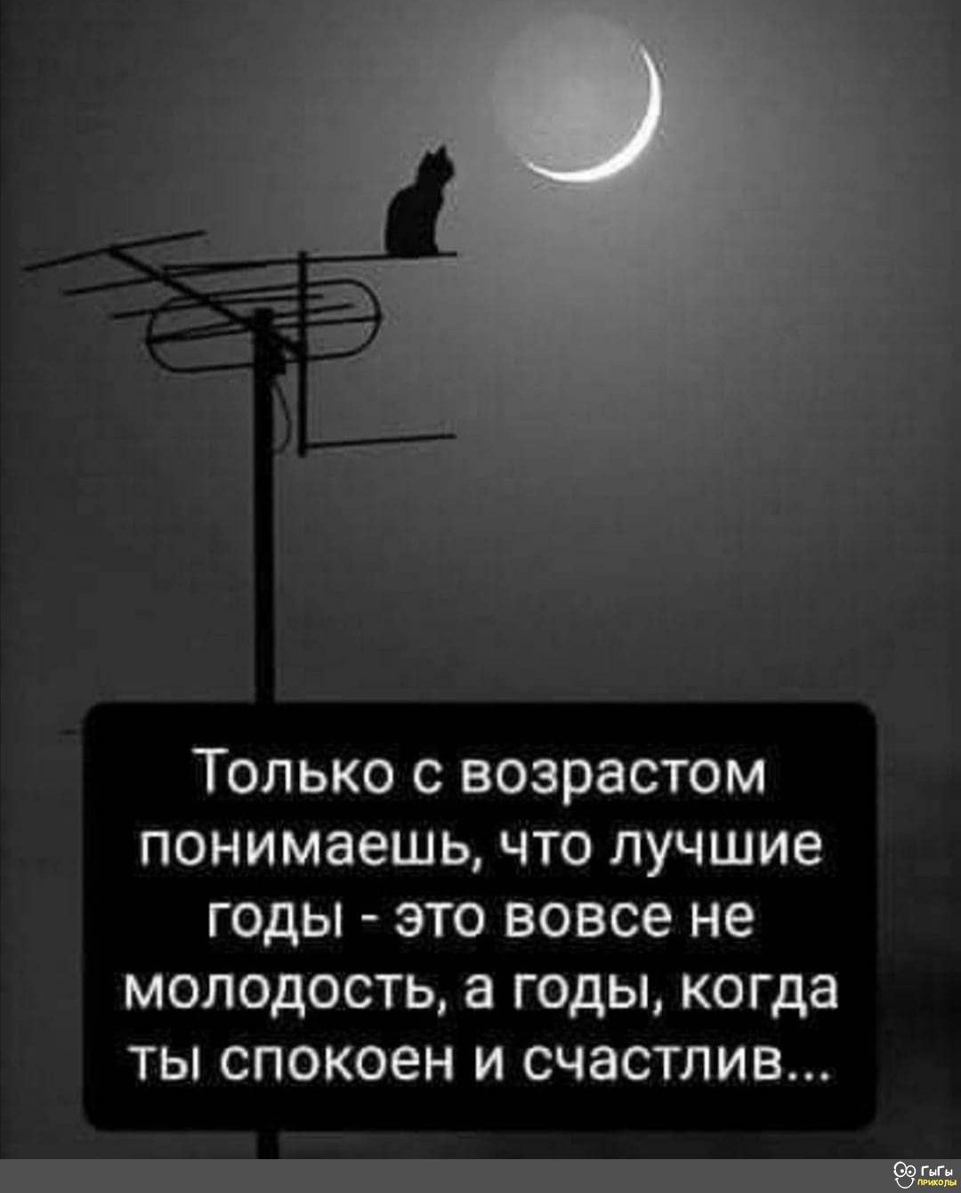 ТОЛЬКО С ВОЗРЭСТОМ понимаешь ЧТО ЛУЧШИЭ ГОДЫ ЭТО вовсе не МОЛОДОСТЬ а ГОДЫ когда ТЫ СПОКОЭН И СЧЗСТЛИВ