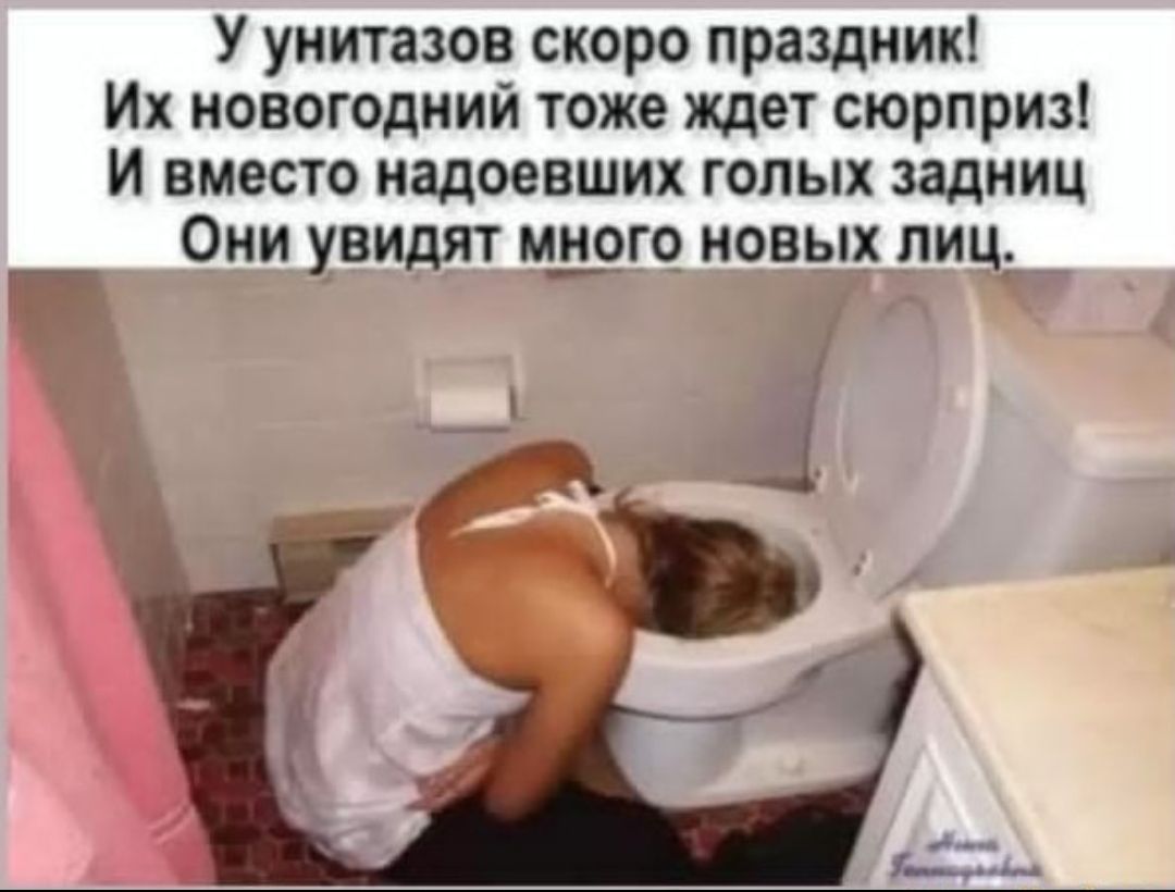 У унитазов скоро праздник Их новогодний тоже ждет сюрприз И вместо надоевших голых задниц Они увидят м_н_ого_ новых лиц __г итт