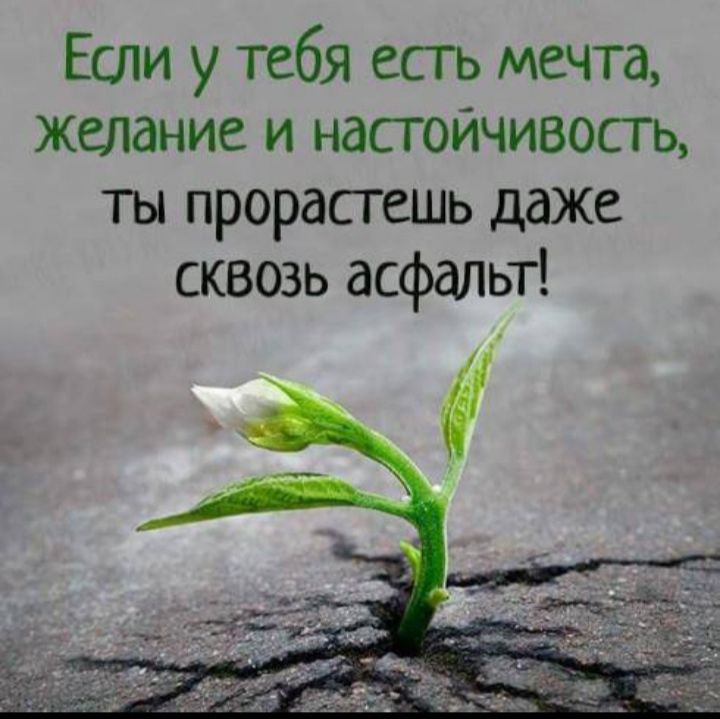 Если у тебя есгь мечта желание и насгоичизость ты прорасгешь даже сквозь асфальт