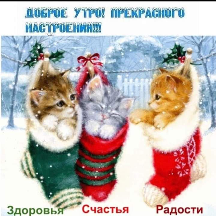 цвета ткгдеітт 1 3 _ _ __ _