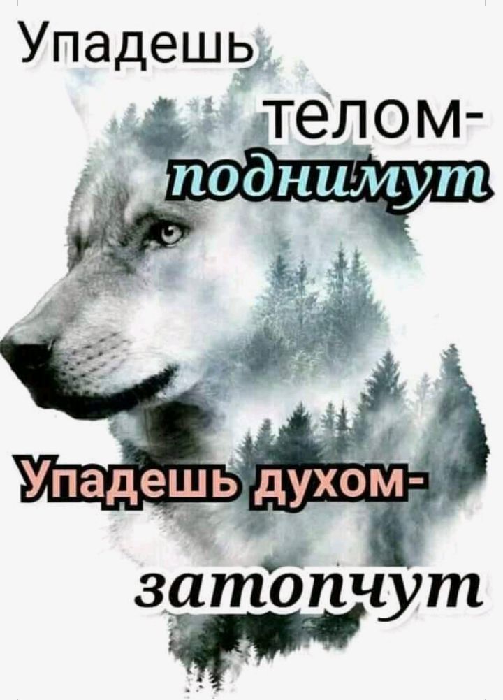 Упадешьд затбпчут
