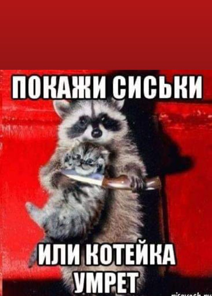 Покажи сиськи