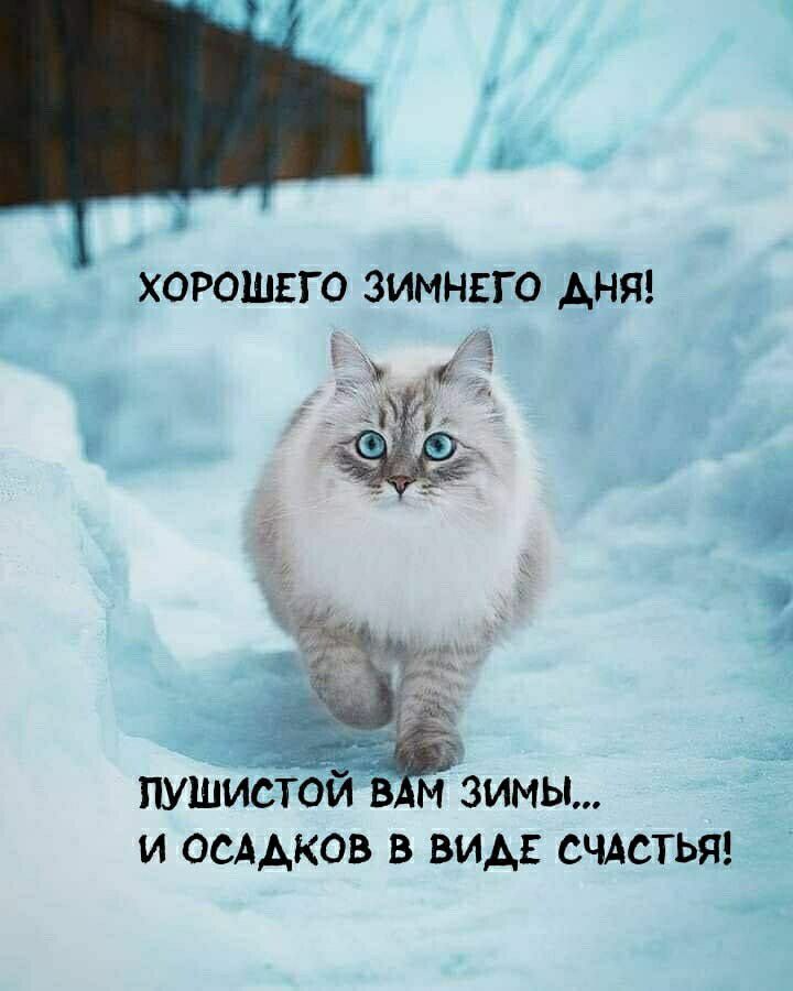 ХОРОШЕГО ЗИМНЕГО АНЯ пушЁлстои в м зимы 5 И ОСААКОВ В ВИДЕ СЧАСТЬЯ