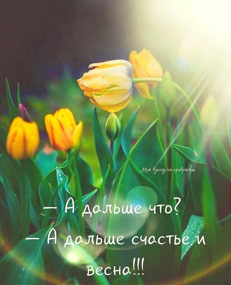 д д шитьё Чена