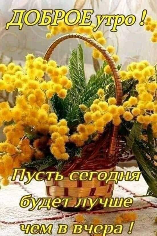 ДБРОЁ кк г