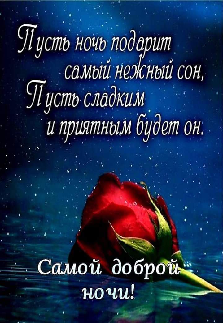 Щстд ндйддоддрит _ _ _ самэійрншёный сон Дует Сдадим 3 и приятным будет он