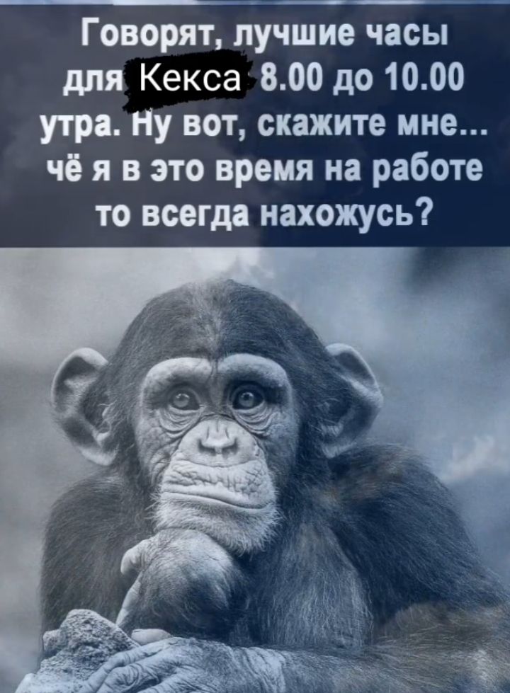 Говорят лучшие часы дпя Кекса 800 до 1000 утра Ну вот скажите мне чб я в это время на работе то всегда нахожусь
