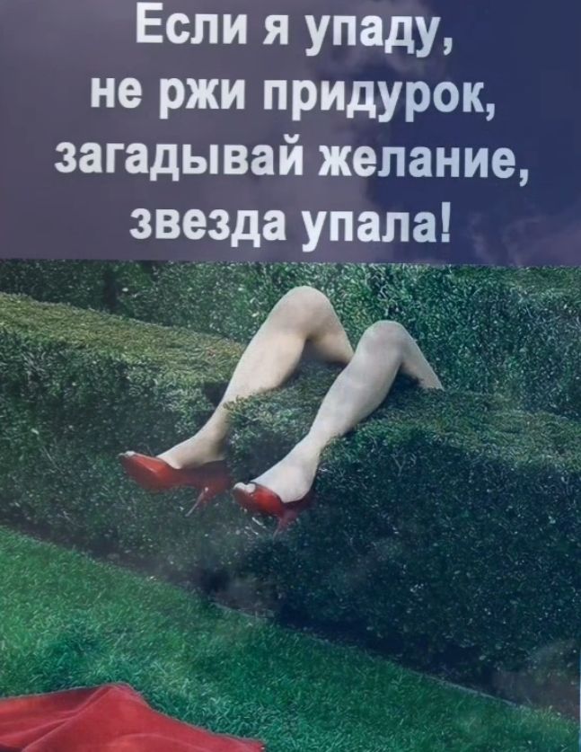 Если я упаду не ржи придурок загадывай желание звезда упала