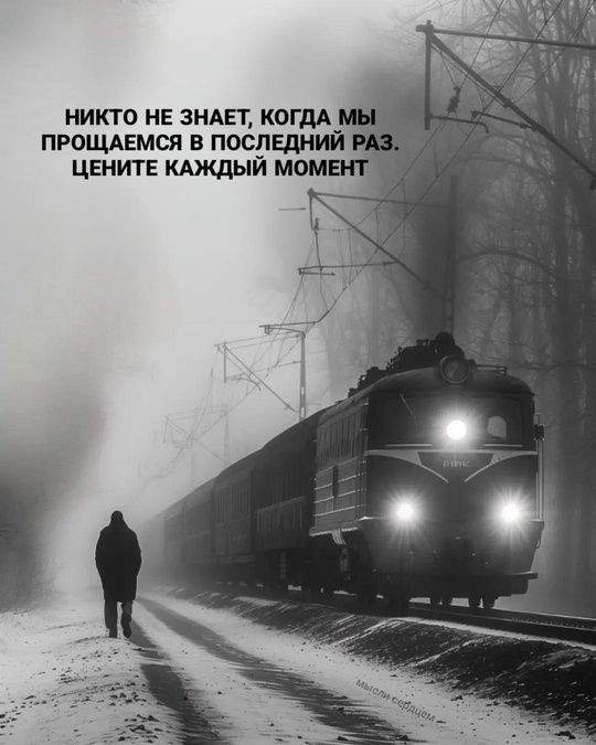 Никто не знает, когда мы прощаемся в последний раз. Цените каждый момент.