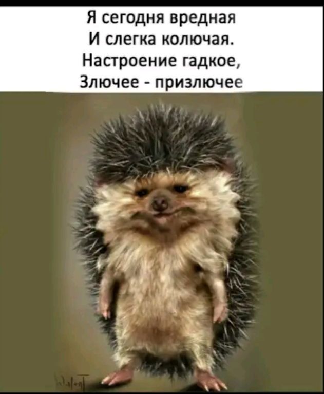Я сегодня вредная И слегка колючая Настроение гадкое Злючее призлючее