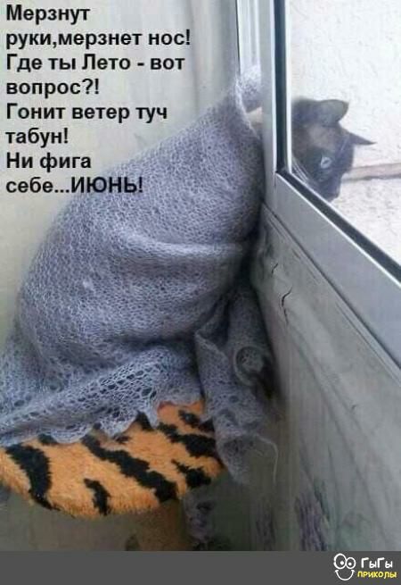 Морзнут рукимерзнет нос Где ты Лето вот вопрос Гонит ветер туч табун Ни фига себе Ц