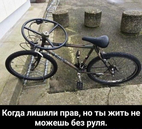 Когда лишили прав но ты жить не можешь без руля