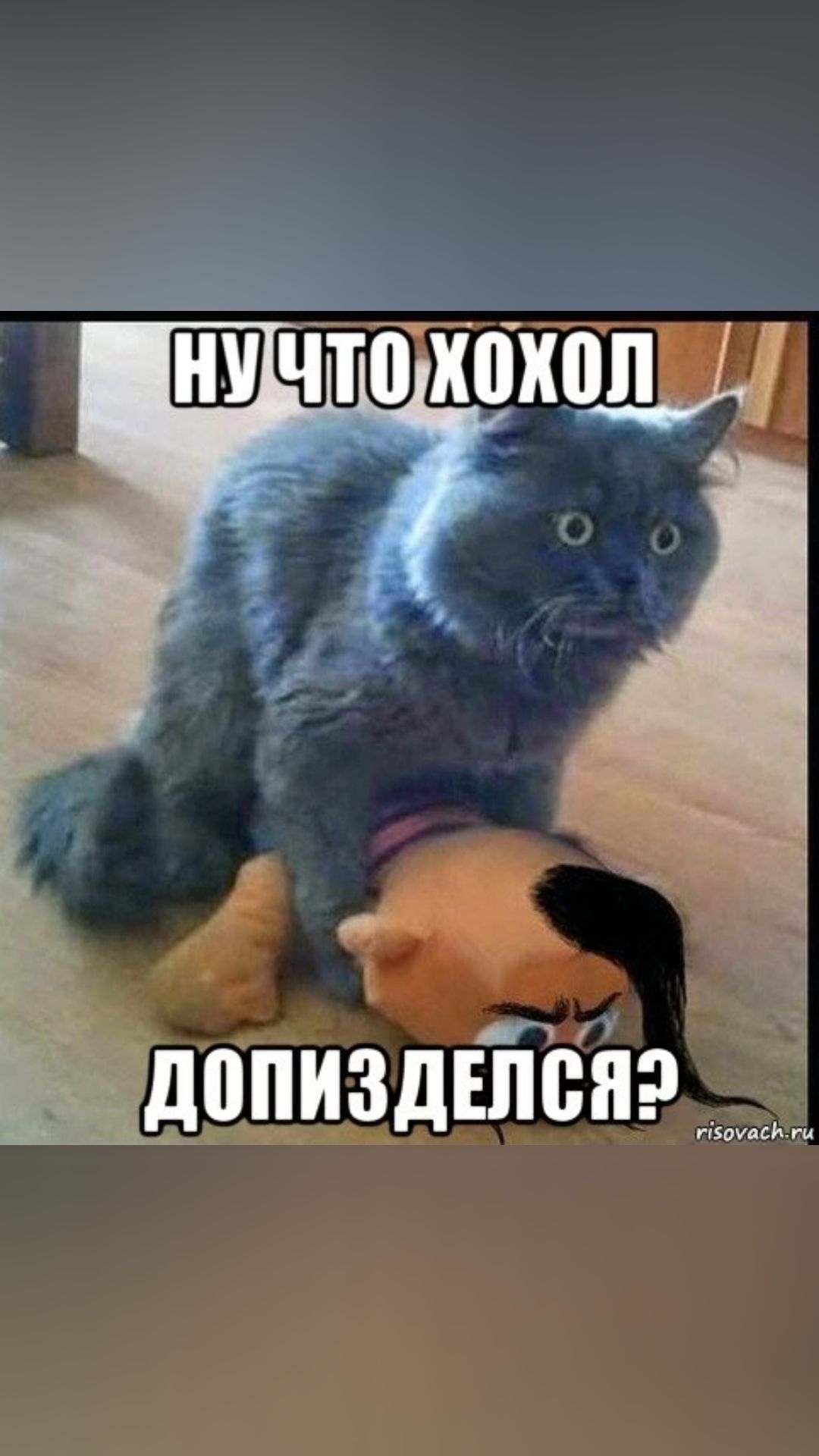 ч''й1шш ц