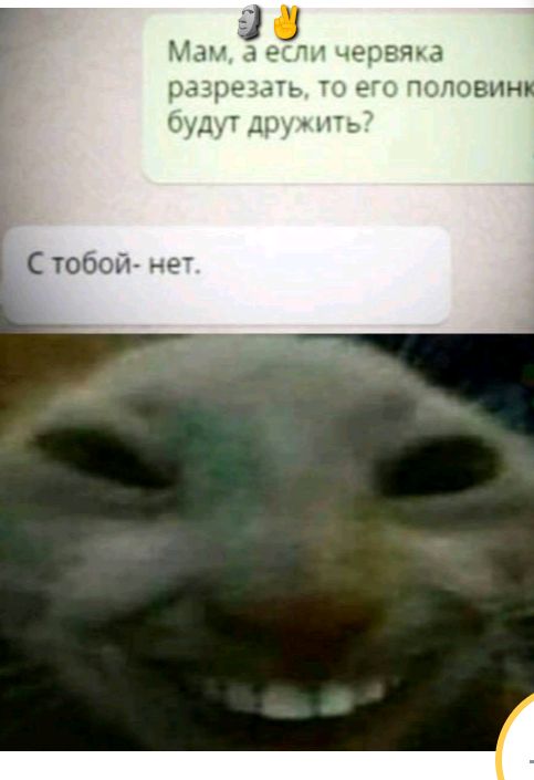 ЧС ЮВИН