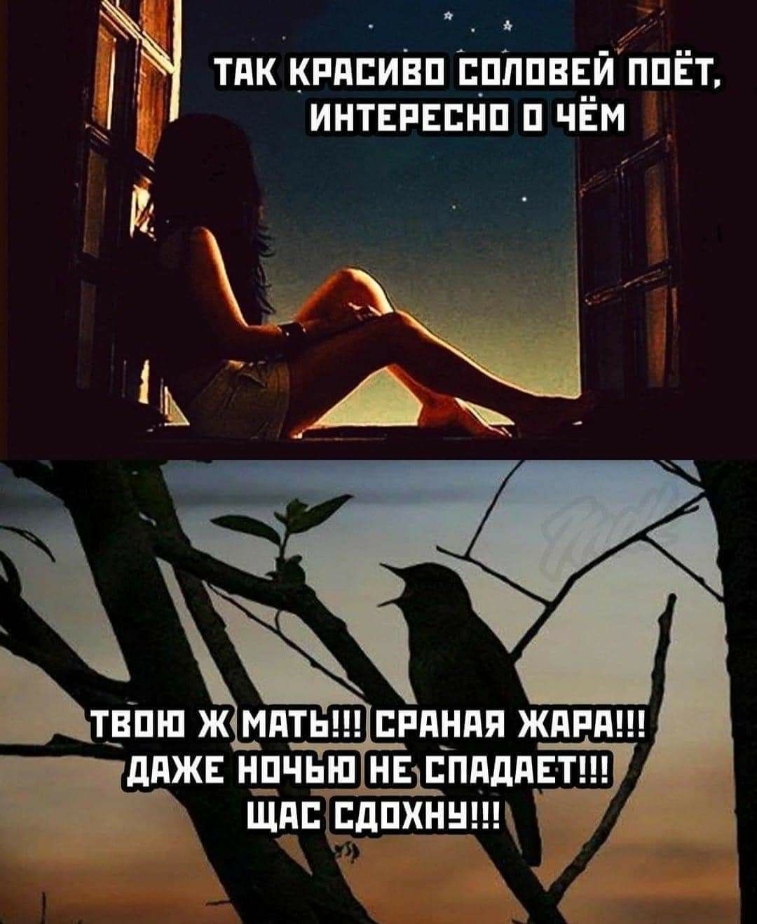 ТПК КРППИВП ЕПППВЕЙ ППЁТ ИНТЕРЕЕНП П ЧЁМ _ _ТЁПШ Ж МАТЬ ЕРПНПЯ ЖПРП нпчып НЕдППдддЕЁтш _ь щпшпдпхннт