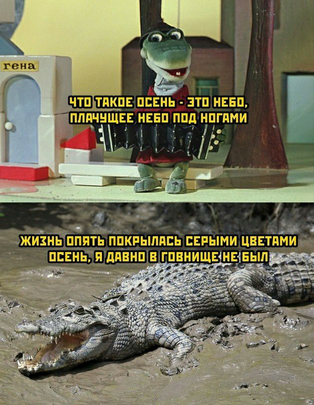 23 НЁПДТЬ ППКРЫПППЬ ПЕРЫМИ ЦЕЕТПМИ