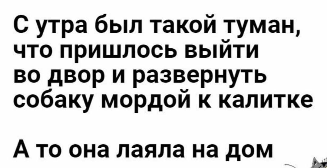 С утра был такой туман что пришлось выйти во двор и развернуть собаку мордой к калитке А ТО она лаяла на дОМ _ м