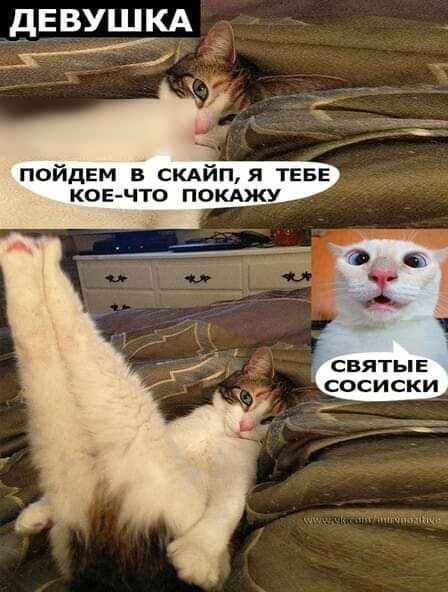 СВЯТЫЕ СОСИСКИ