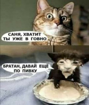 сдия хвдтит ТЫ УЖЕ В ГОВНО витддвдй ЕЩЕ по пивку