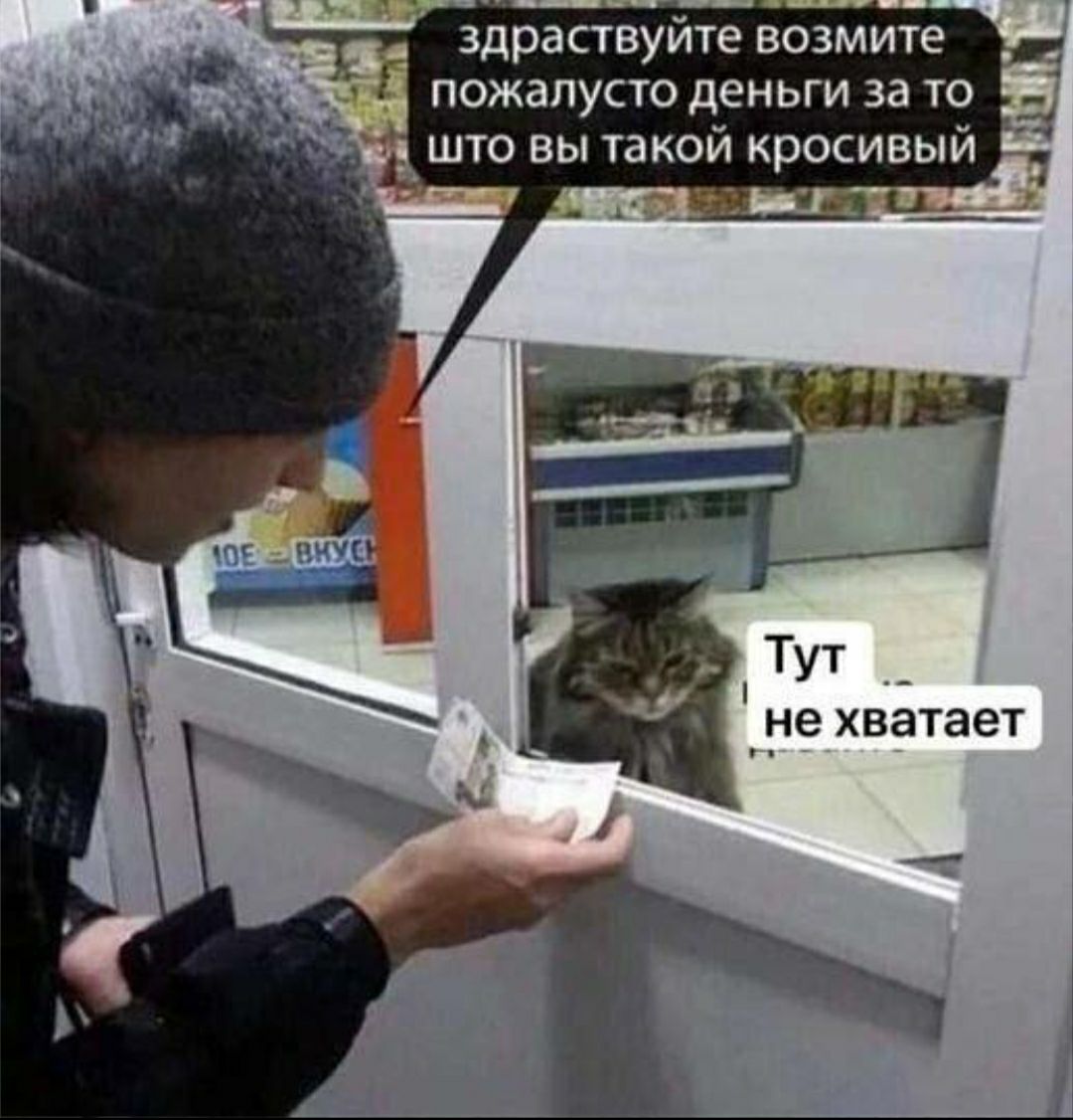 здраствуйте возмите пожалусто деньги за то што вы такой кросивый