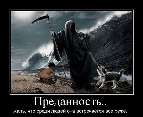 Преданность жаль ЧТО среди ЛЮДЕЙ она встречается все РЕЖЕ