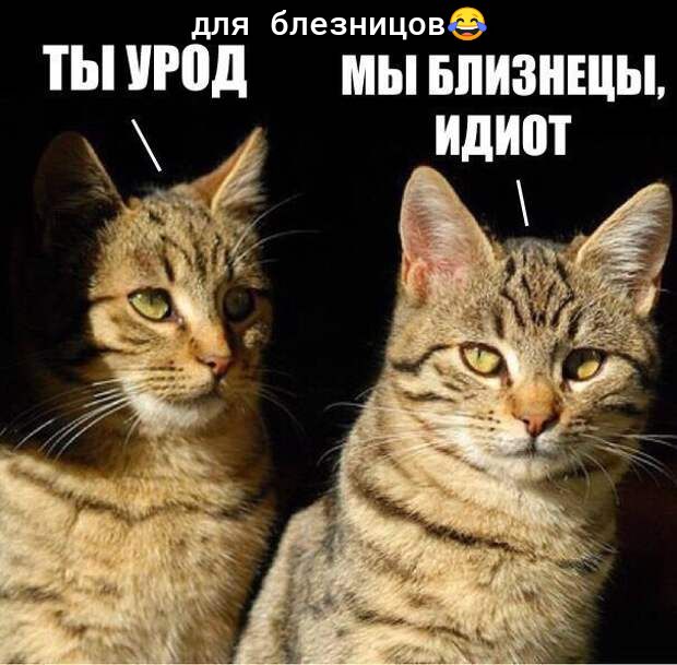 для блезницовё ТЫ прод мы БЛИЗНЕЦЫ