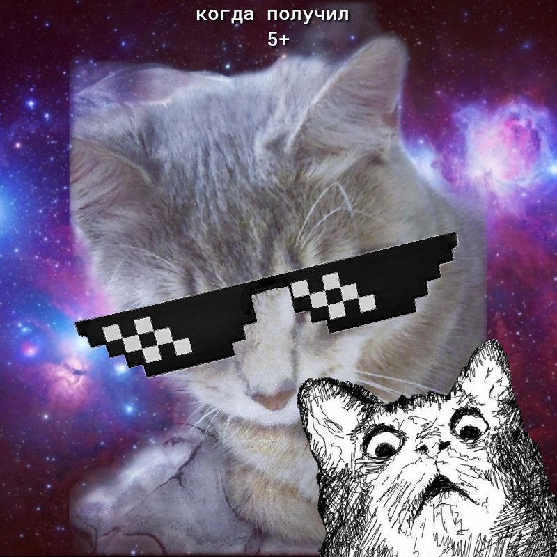 КО гда ПОЛУЧ ИЛ