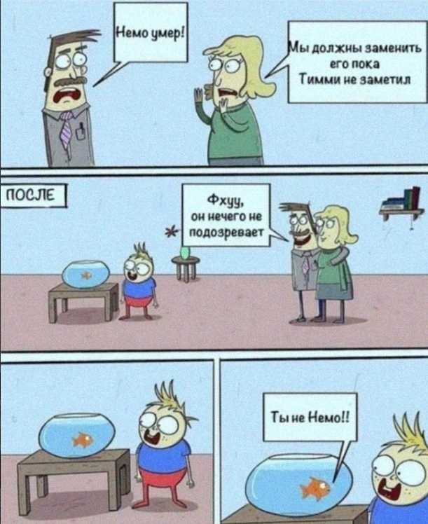 Тыне немо!