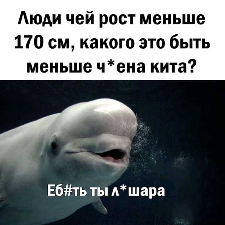 Аюди чей рост меньше 170 см какого это быть меньше чена кита Е6ть ты Ашара